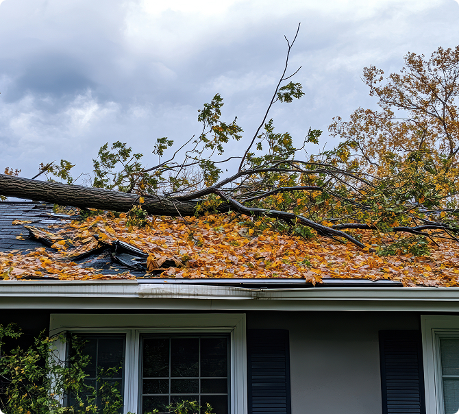 roof repair insurance claim