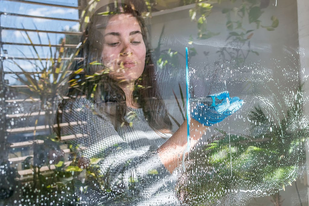 window cleaning supplies