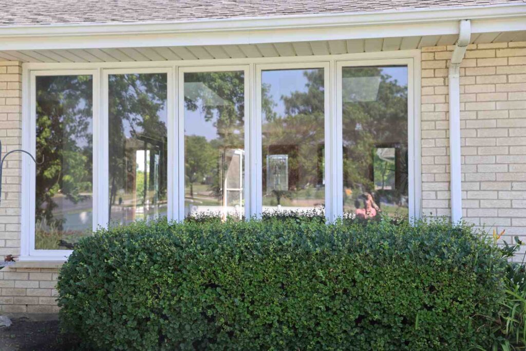 replacement windows arlington heights