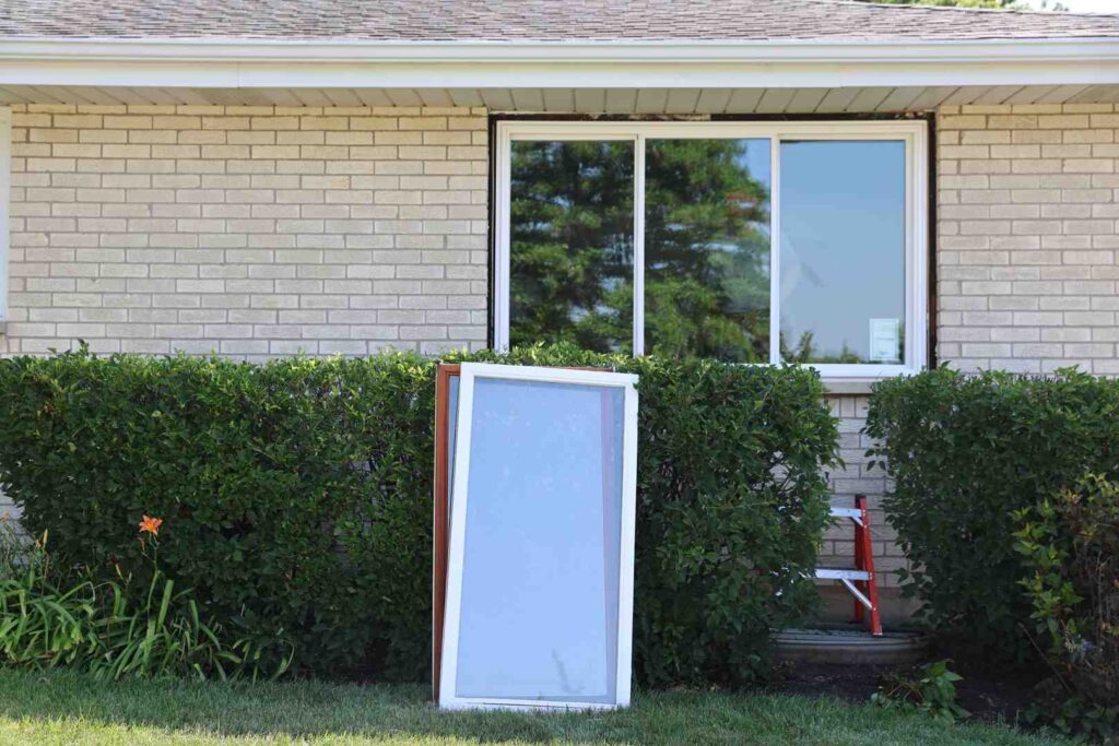 window replacement guide
