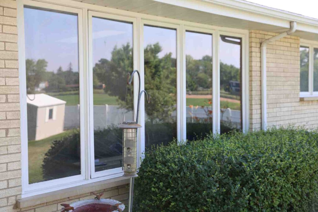 new windows for house